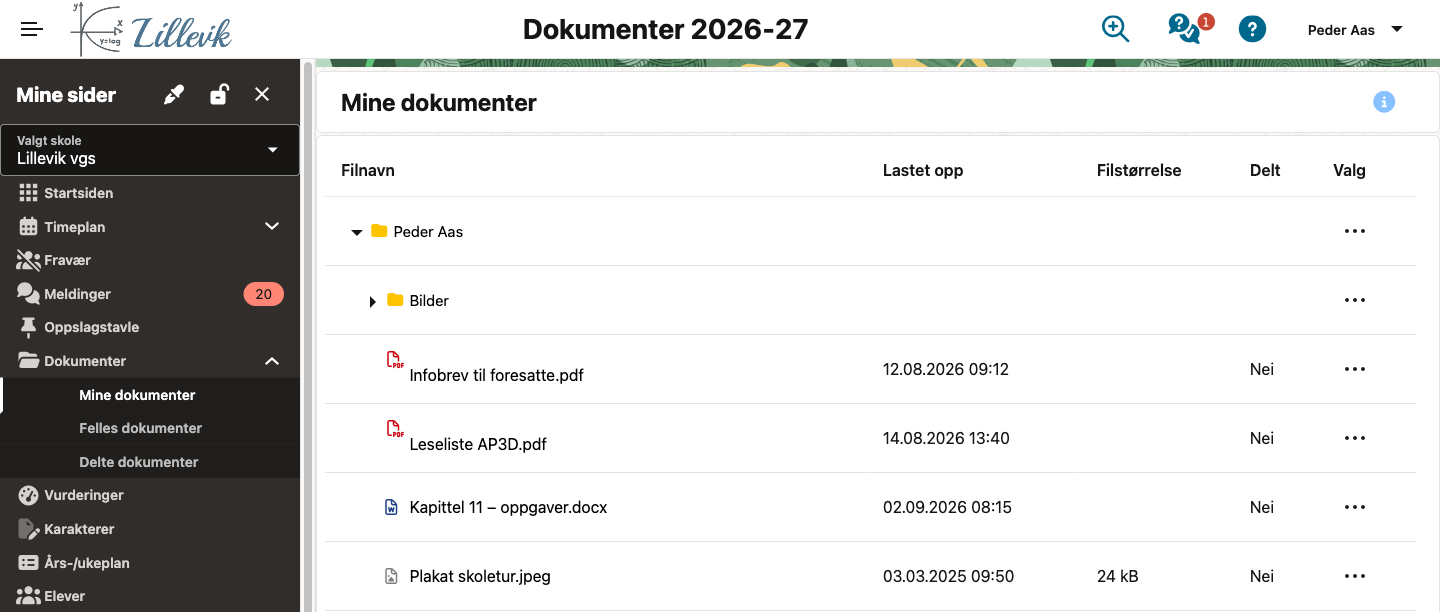Mine dokumenter
